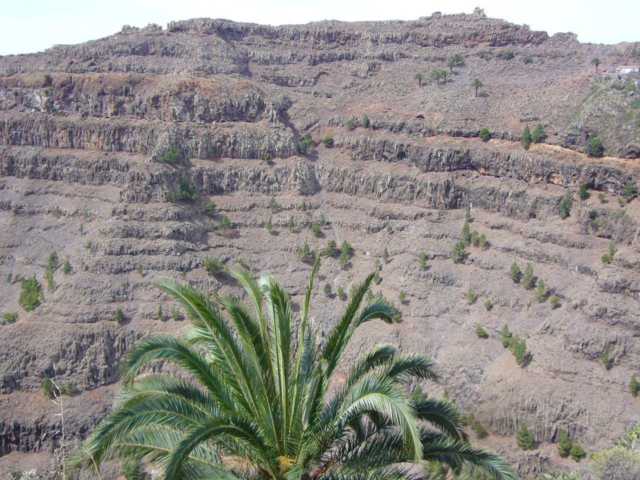 La Gomera  (6).JPG